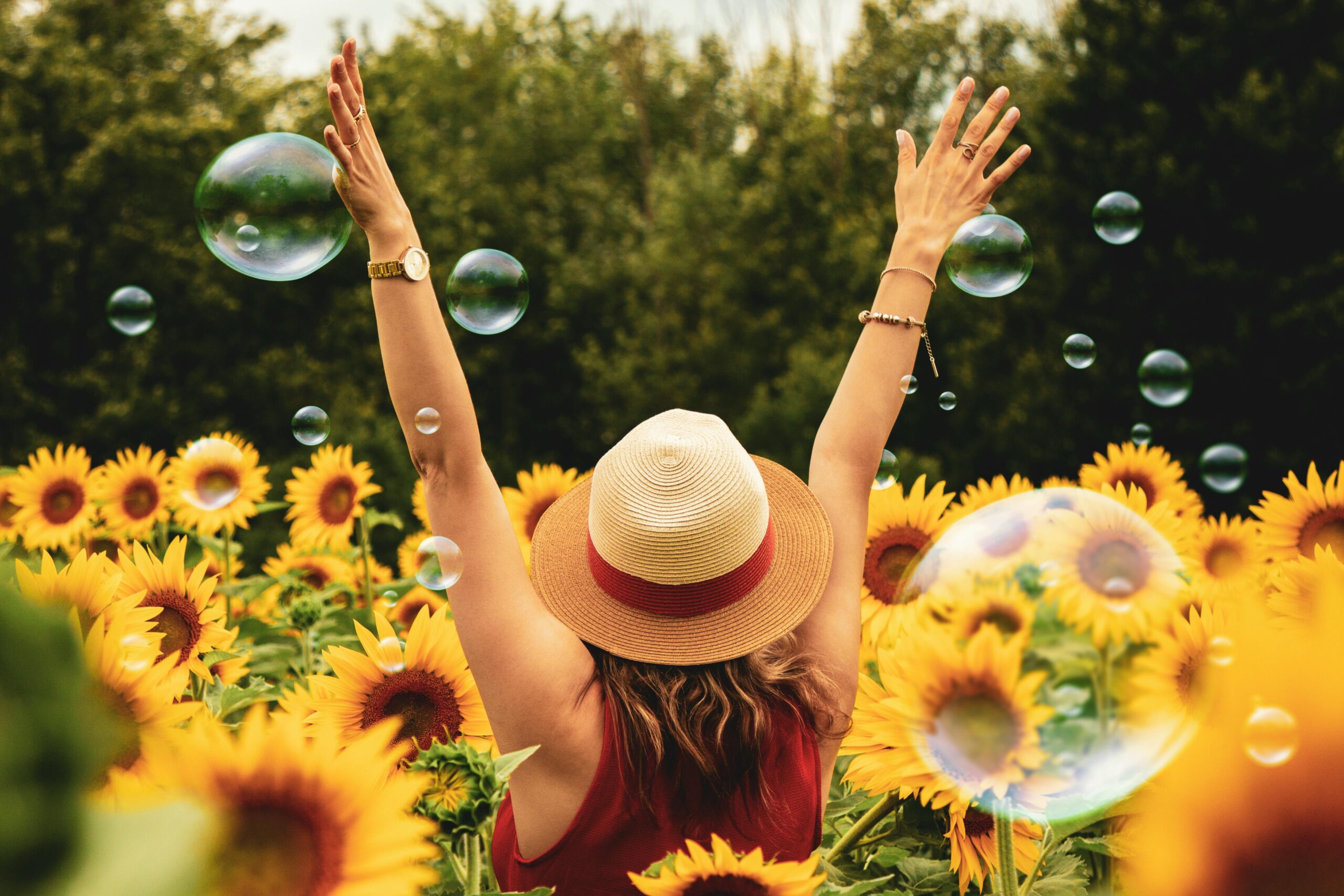 Wellbeing Centre Blog